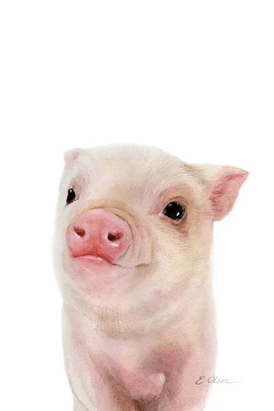 Baby Animals: Baby Pig by Watercolor Luv