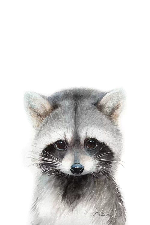 Baby Raccoon by Watercolor Luv wall art