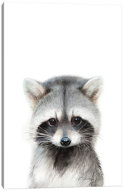 Baby Raccoon Canvas Art Print - Watercolor Luv