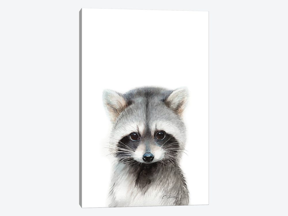 Baby Raccoon by Watercolor Luv 1-piece Canvas Wall Art