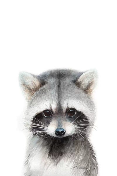 Raccoons: Baby Raccoon by Watercolor Luv