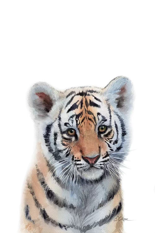 Framed Canvas Art (White Floating Frame) - Baby Tiger by Watercolor Luv ( Animals > Wildlife > Wild Cats > Tigers art) - 26x18 in