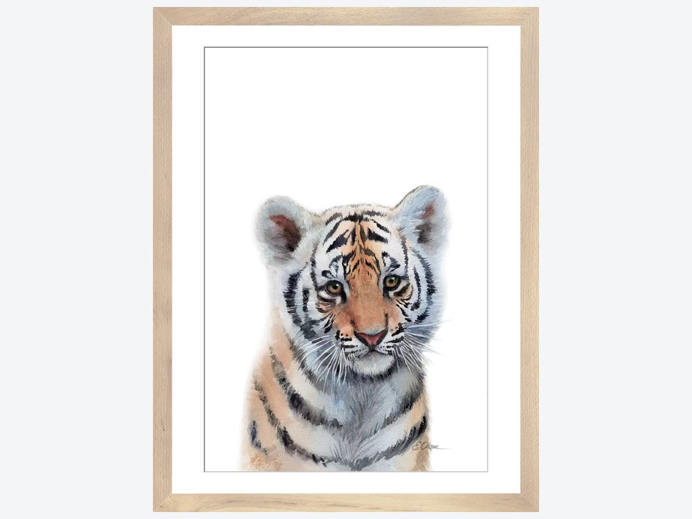 Baby White Tiger Canvas Art Print by Tiny Treasure Prints