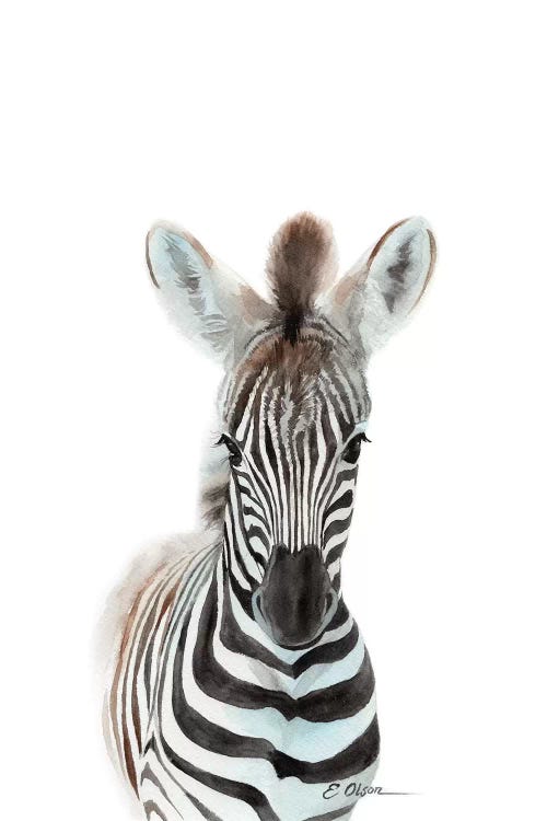 Baby Zebra by Watercolor Luv wall art