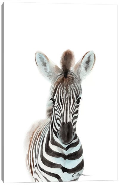 Baby Zebra Canvas Art Print - Baby Animal Art