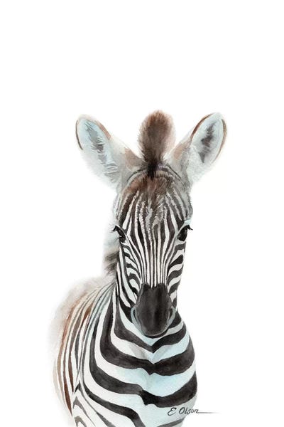 Zebras: Baby Zebra by Watercolor Luv
