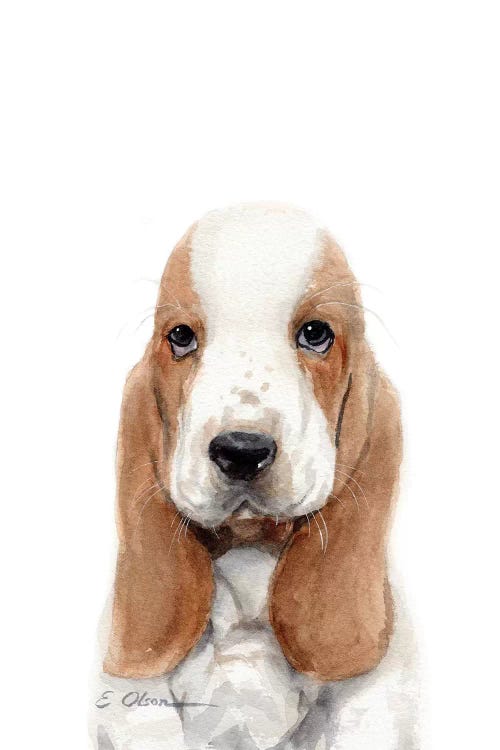 Basset Hound Puppy by Watercolor Luv wall art