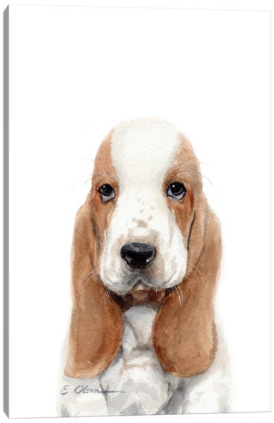 Basset Hound Puppy Canvas Art Print - Basset Hound Art