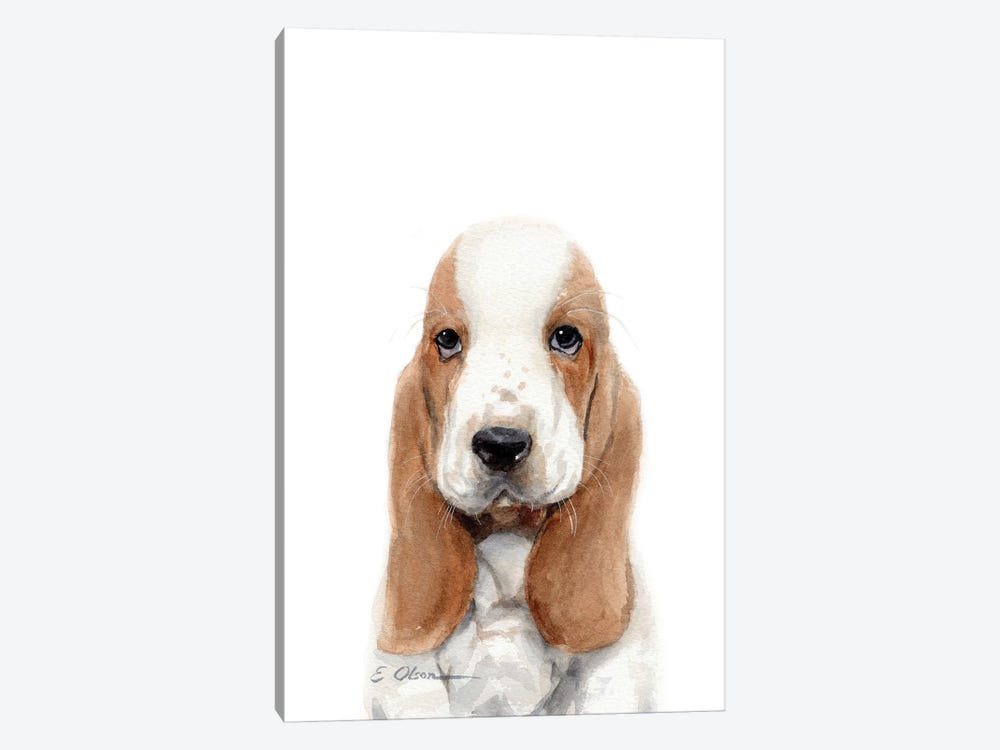 Basset Hound Puppy by Watercolor Luv 1-piece Canvas Art Print