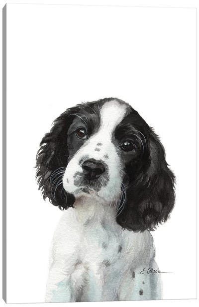 English Springer Spaniel Puppy Canvas Art Print - Watercolor Luv