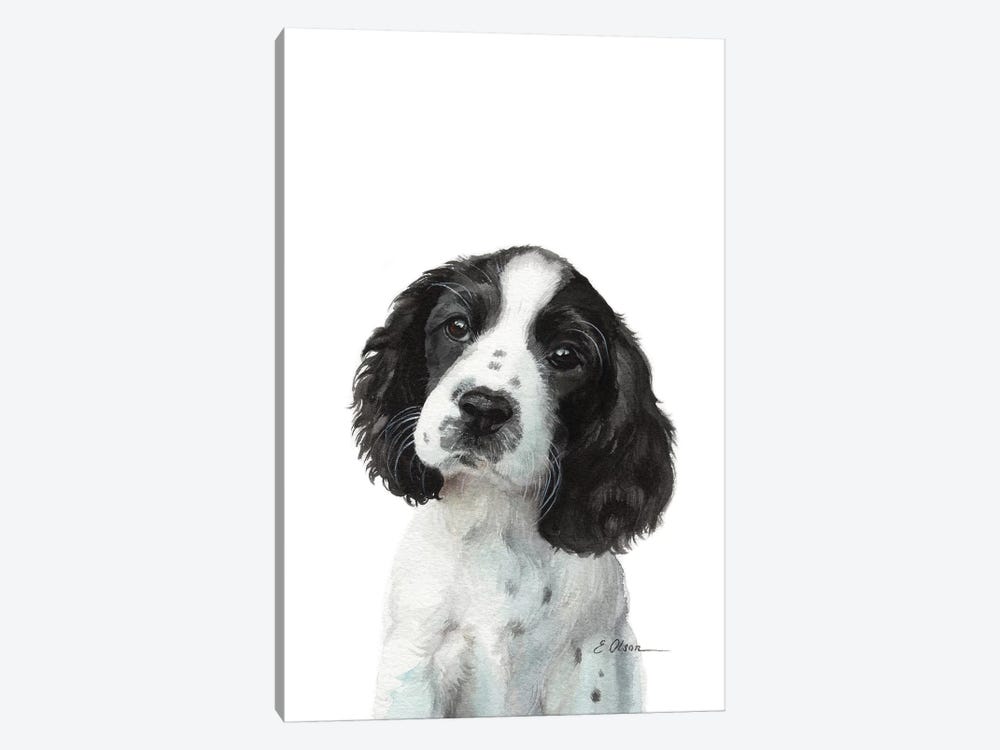 English Springer Spaniel Puppy by Watercolor Luv 1-piece Canvas Print