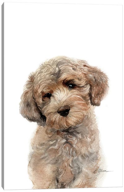 Brown Golden Doodle Puppy Canvas Art Print - Goldendoodle Art