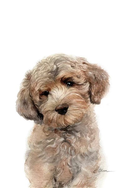 Goldendoodles: Brown Golden Doodle Puppy by Watercolor Luv