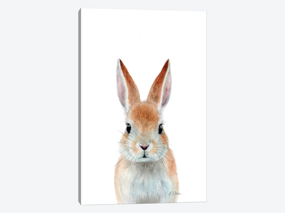 rabbit head painting
