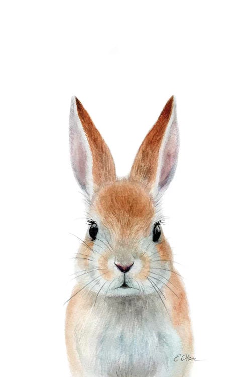 Rabbit Ears by Watercolor Luv wall art