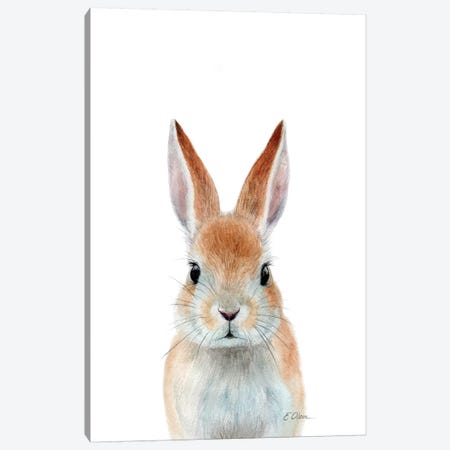 Rabbit Ears Canvas Print #WLU113} by Watercolor Luv Canvas Wall Art