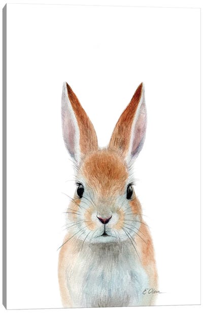 Rabbit Ears Canvas Art Print - Watercolor Luv