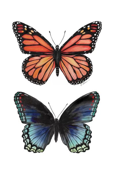 Monarch Butterflies: Butterfly Duet by Watercolor Luv