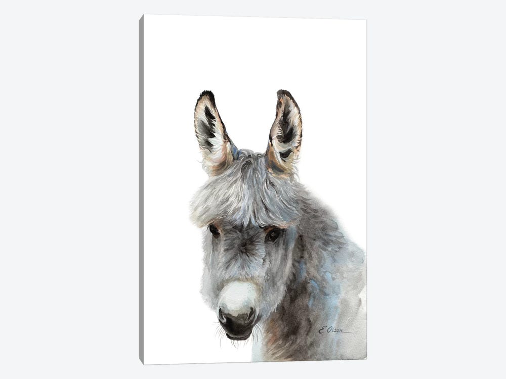 Baby Donkey by Watercolor Luv 1-piece Canvas Wall Art