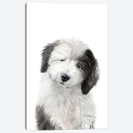 Old English Sheepdog Puppy Canvas Print #WLU118} by Watercolor Luv Canvas Art