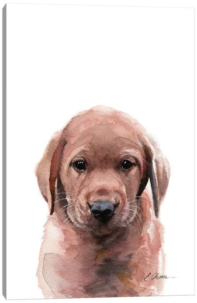 Fox Red Labrador Puppy Canvas Art Print - Puppy Art