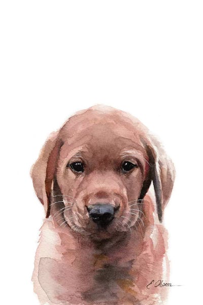 Baby Animals: Fox Red Labrador Puppy by Watercolor Luv