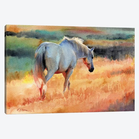 White Horse In Golden Fields Canvas Print #WLU120} by Watercolor Luv Art Print