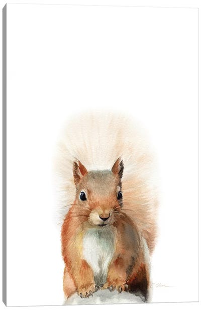 Happy Squirrel Canvas Art Print - Watercolor Luv