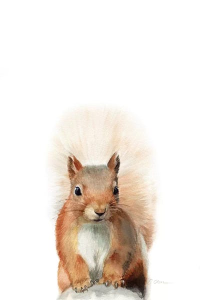 Squirrels: Happy Squirrel by Watercolor Luv