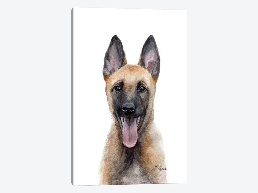 Belgian Malinois Puppy by Watercolor Luv 1-piece Canvas Wall Art
