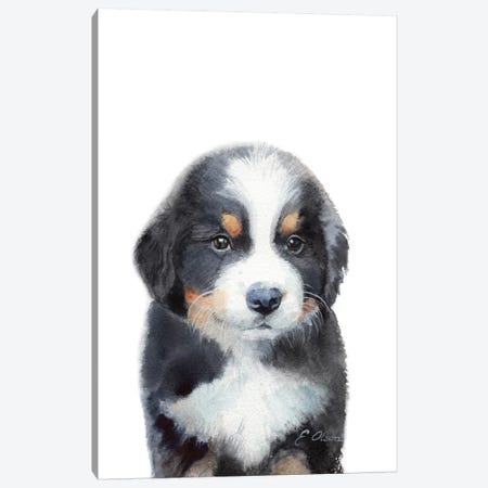 Bernese Mountain Dog Puppy Canvas Print #WLU14} by Watercolor Luv Canvas Art