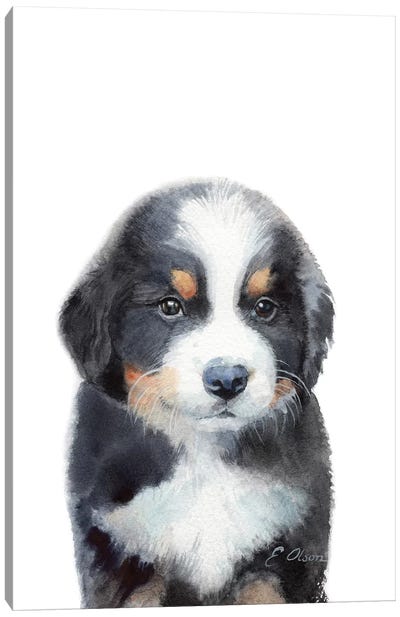 Bernese Mountain Dog Puppy Canvas Art Print - Bernese Mountain Dogs