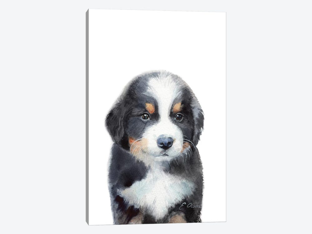 Bernese Mountain Dog Puppy by Watercolor Luv 1-piece Canvas Art Print