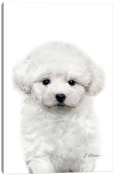 Bichon Frise Puppy Canvas Art Print - Bichon Frises