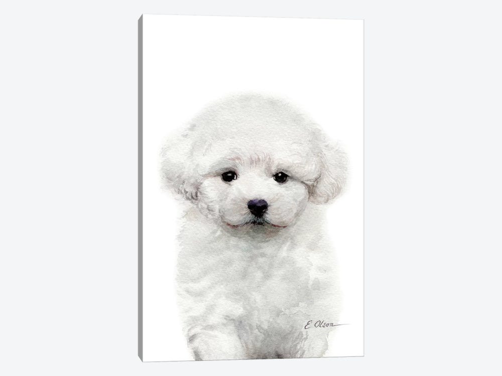 Bichon Frise Puppy by Watercolor Luv 1-piece Canvas Wall Art