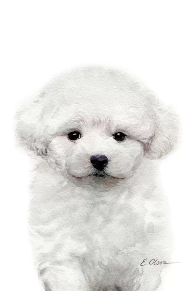 Puppies: Bichon Frise Puppy by Watercolor Luv