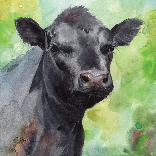 Watercolor Luv: Black Angus Calf by Watercolor Luv