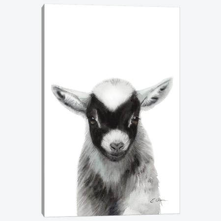 Black Baby Goat Canvas Print #WLU17} by Watercolor Luv Canvas Wall Art