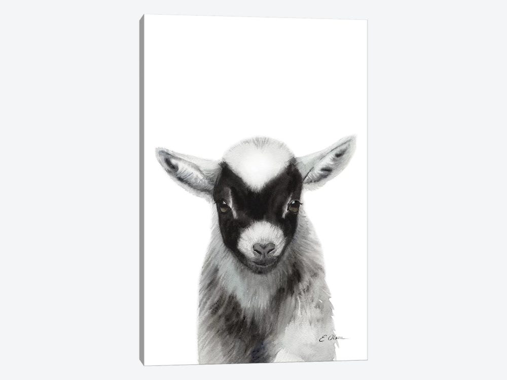 Black Baby Goat by Watercolor Luv 1-piece Canvas Artwork