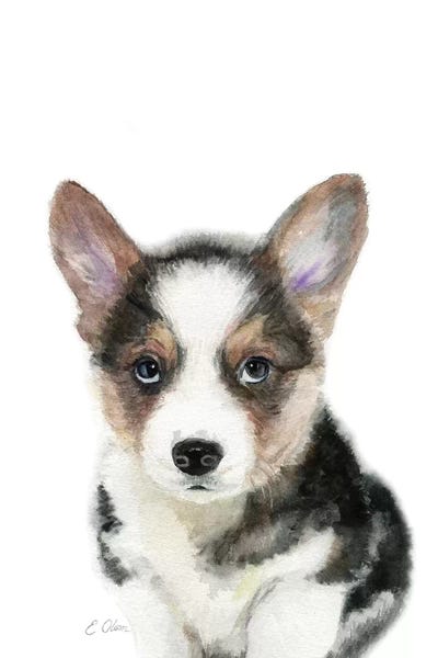 Black Corgi Puppy by Watercolor Luv gallery poster