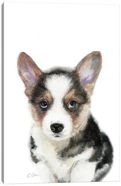 Black Corgi Puppy Canvas Art Print - Baby Animal Art