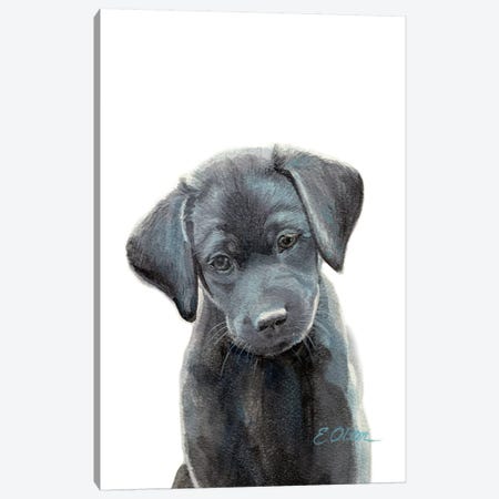 Black Lab Puppy I Canvas Print #WLU19} by Watercolor Luv Canvas Art Print