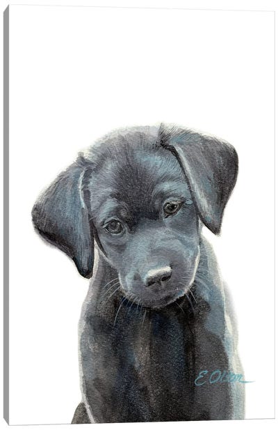 Black Lab Puppy I Canvas Art Print - Labrador Retriever Art