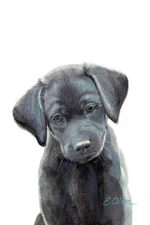 Black Lab Puppy I