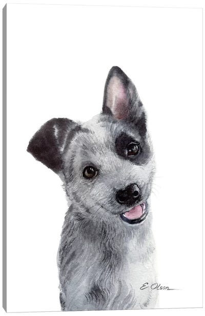Blue Heeler Puppy Canvas Art Print - Watercolor Luv