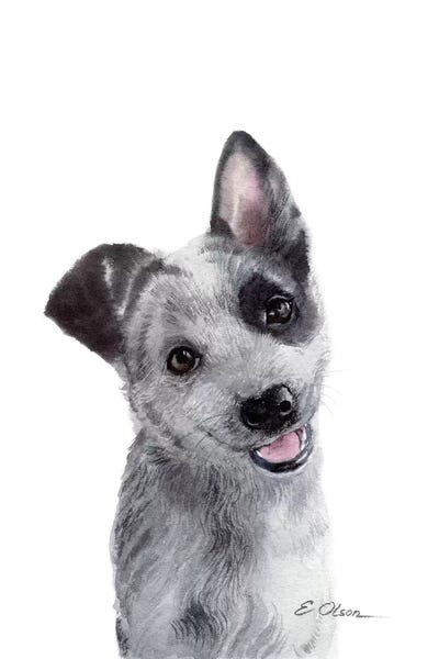 Puppies: Blue Heeler Puppy by Watercolor Luv