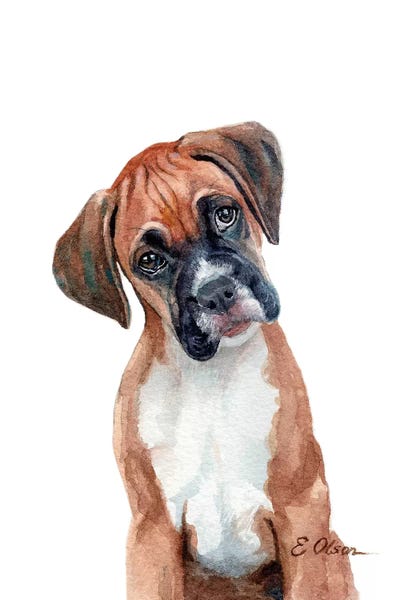 Boxer Puppy by Watercolor Luv acrylic art print