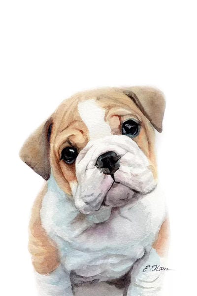 Bulldog Puppy by Watercolor Luv metal wall art