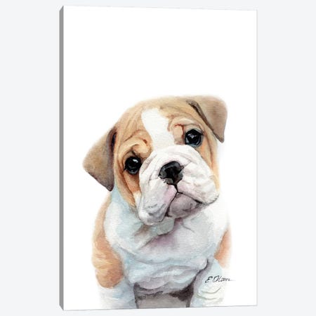 Bulldog Puppy Canvas Print #WLU23} by Watercolor Luv Canvas Artwork
