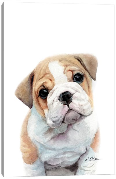 Bulldog Puppy Canvas Art Print - Watercolor Luv